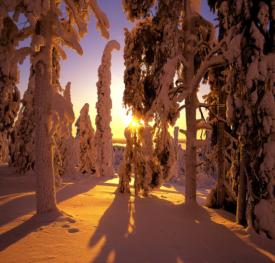 Snowy Finland